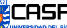 CASP Simulará Planta de Celulosa en Brasil