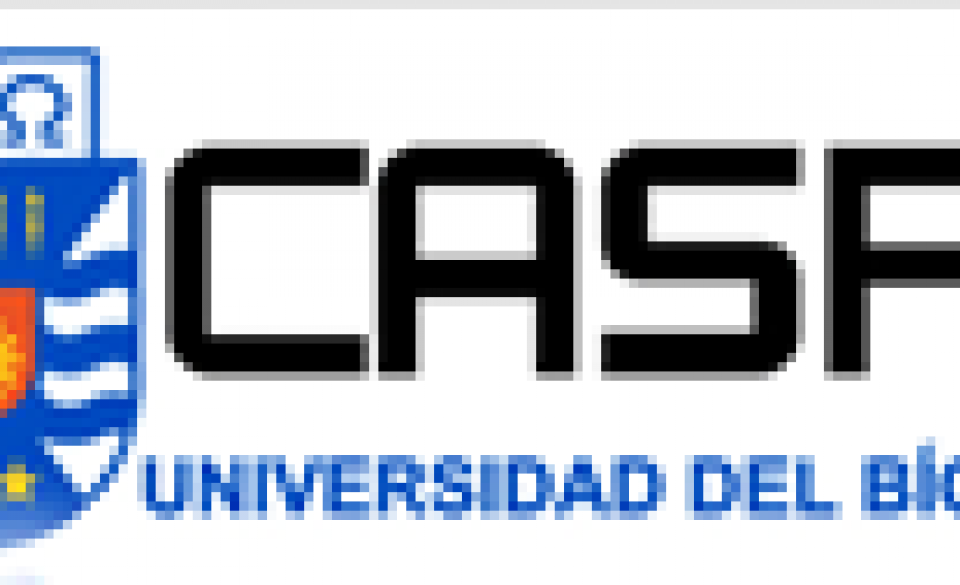 CASP Simulará Planta de Celulosa en Brasil